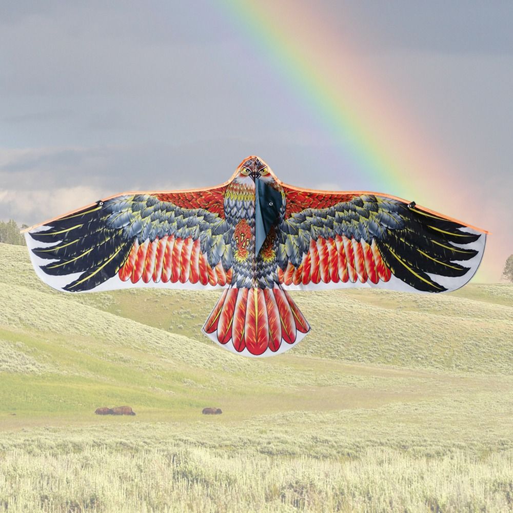 1.1m Eagle Kite With 30m Kite  - Fly Line 评论和价格